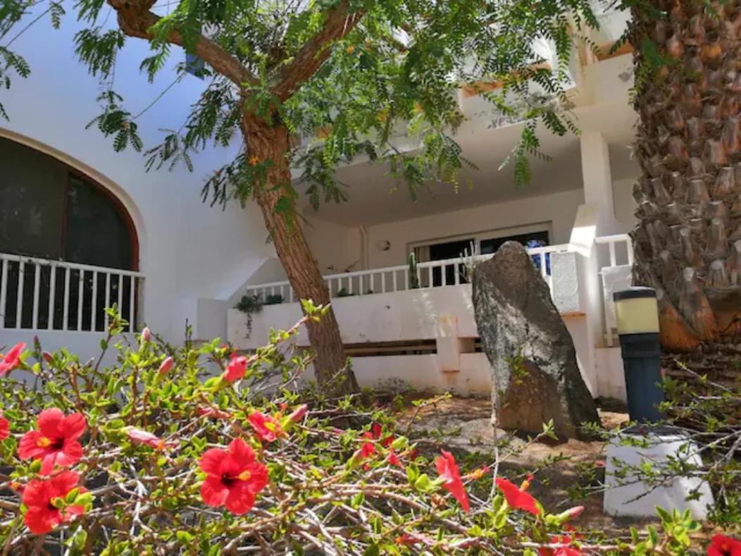קוסטה טגוויסה Comfortable Cleo Apartment With Large Terrace מראה חיצוני תמונה