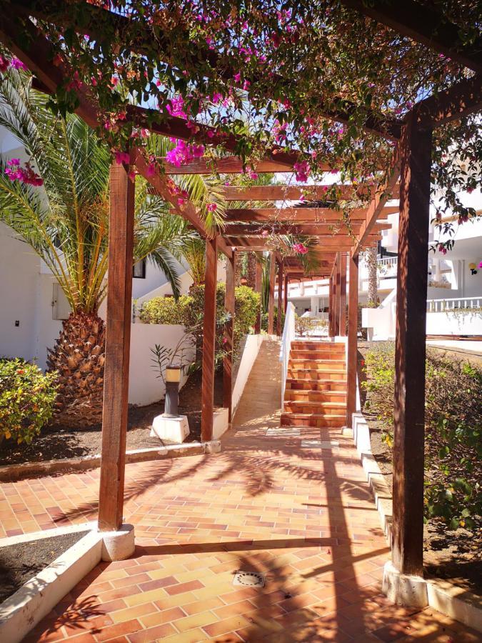 קוסטה טגוויסה Comfortable Cleo Apartment With Large Terrace מראה חיצוני תמונה