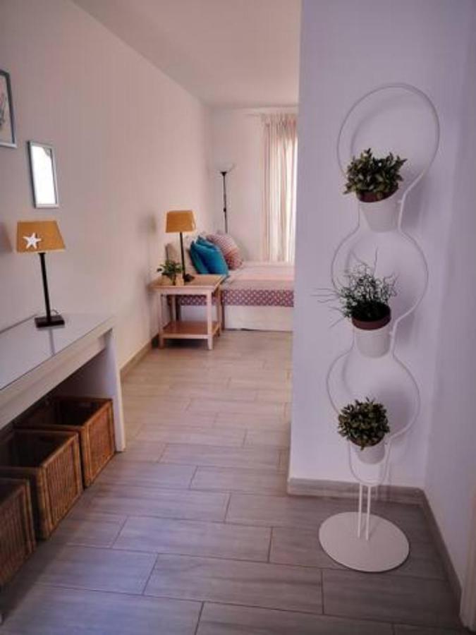 קוסטה טגוויסה Comfortable Cleo Apartment With Large Terrace מראה חיצוני תמונה